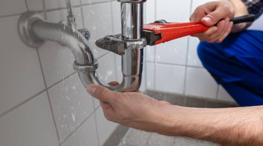 Leak Detection Services in Paris Crossing, IN